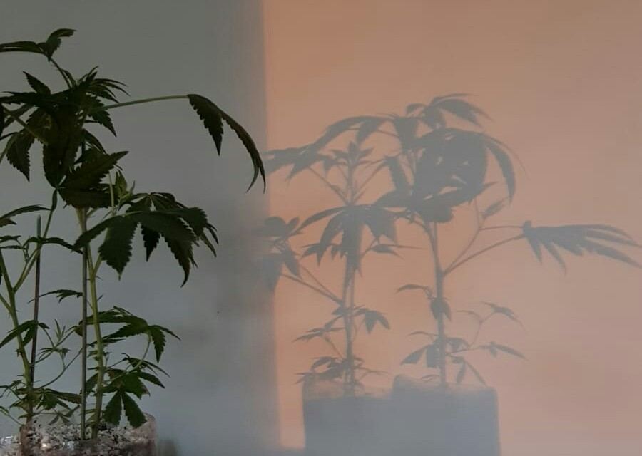 IMG 20190620 211815