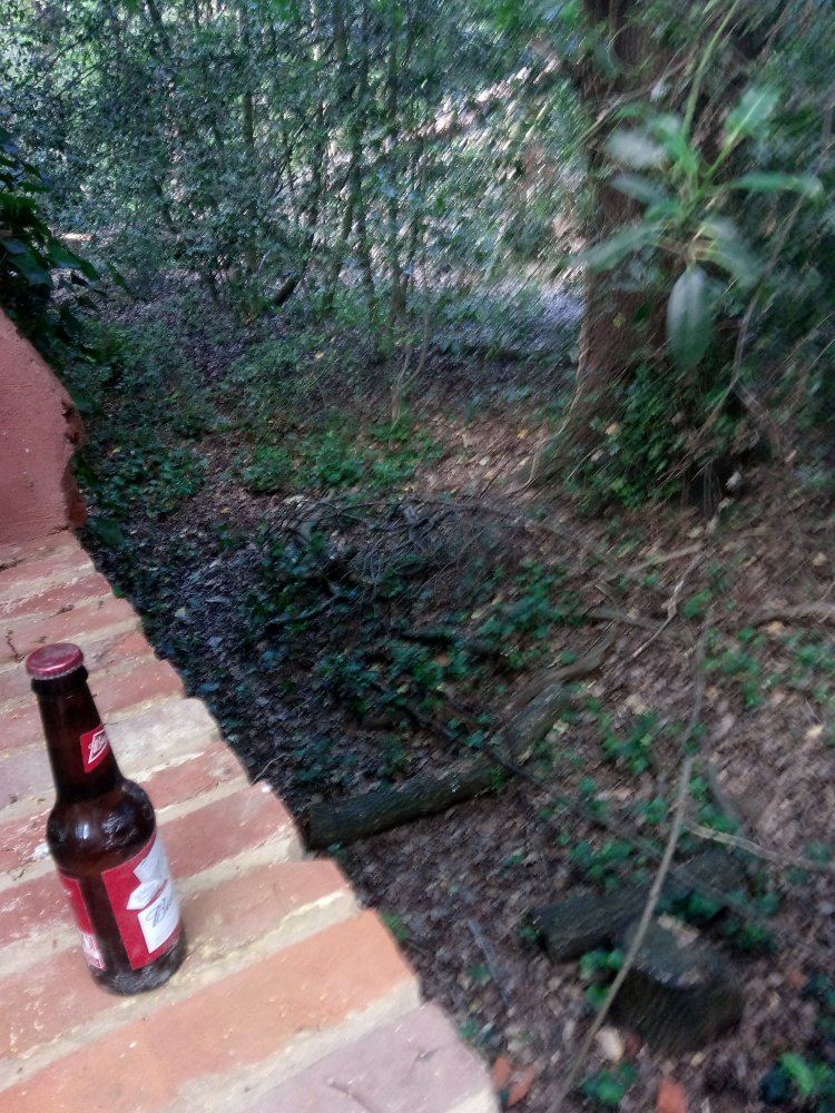 IMG 20190703 151908