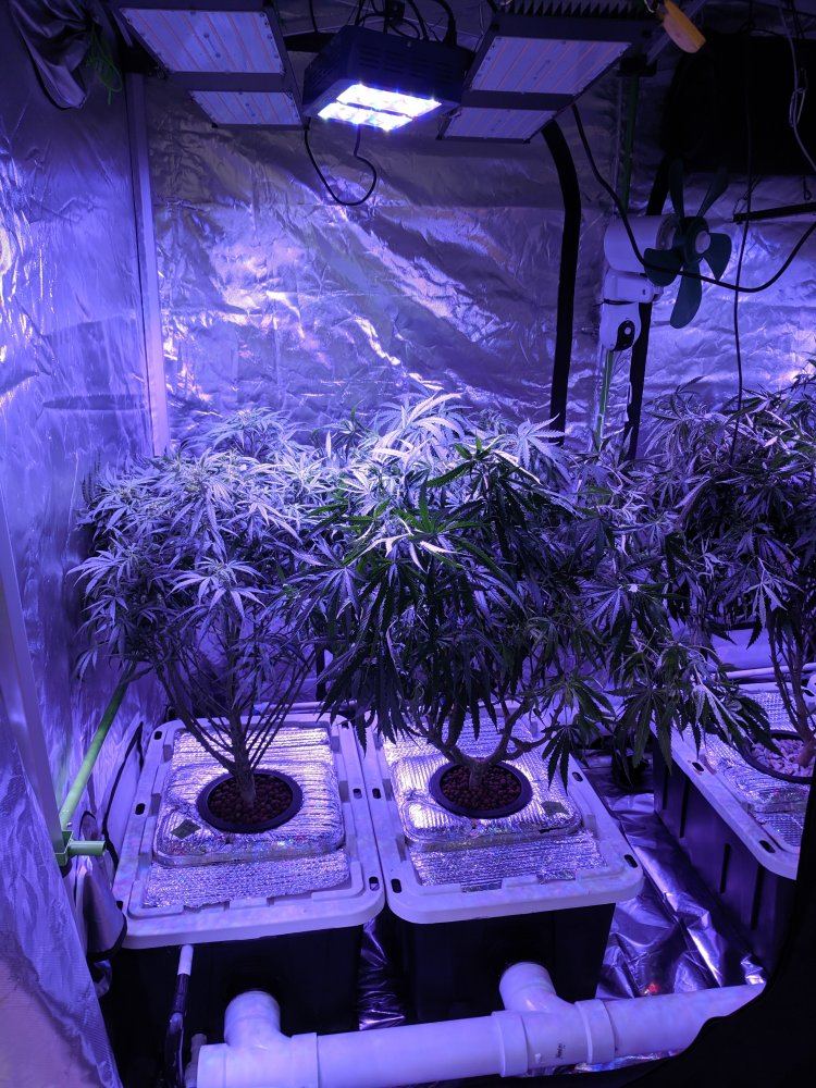 IMG 20190717 104818