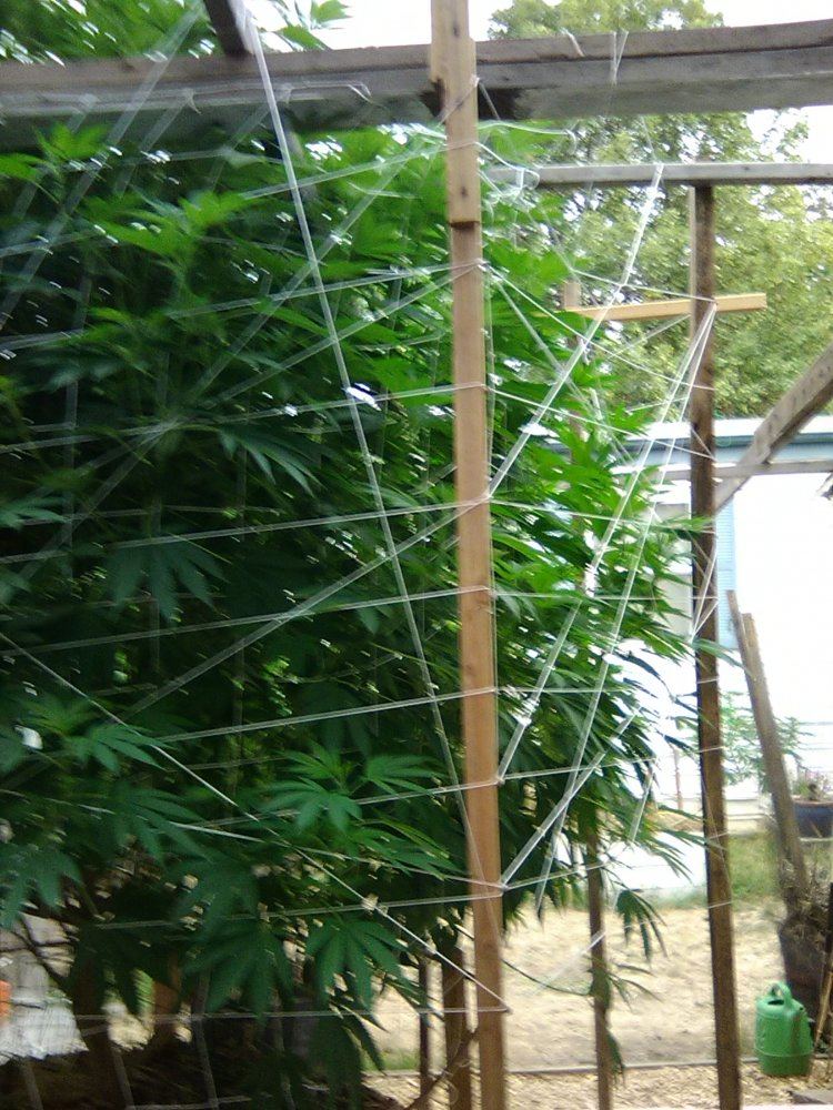 IMG 20190808 185622