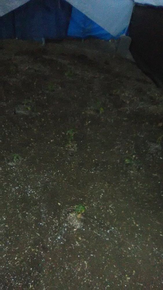 IMG 20190813 200503