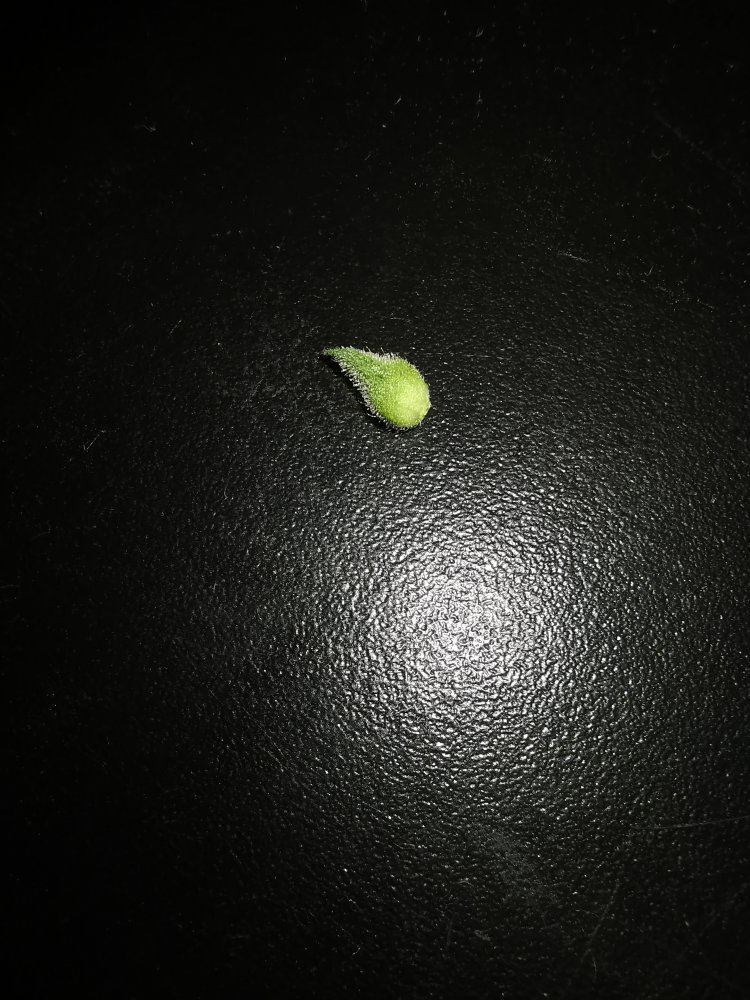 IMG 20190918 105018