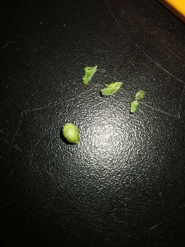 IMG 20190918 105128