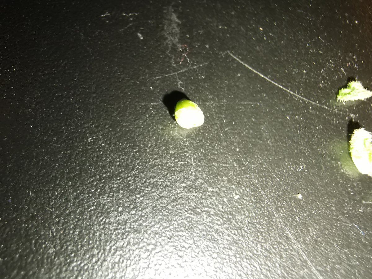 IMG 20190918 105213