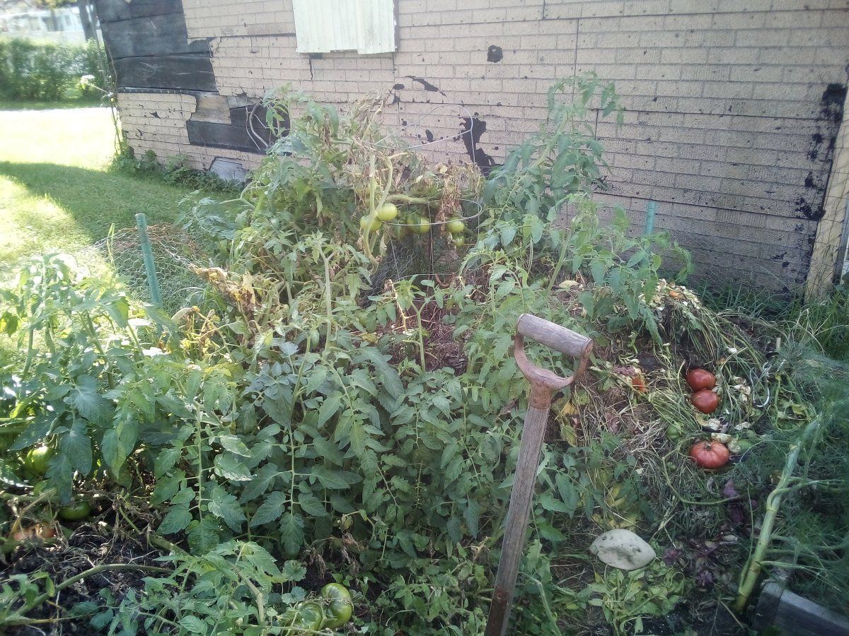 IMG 20190928 142231