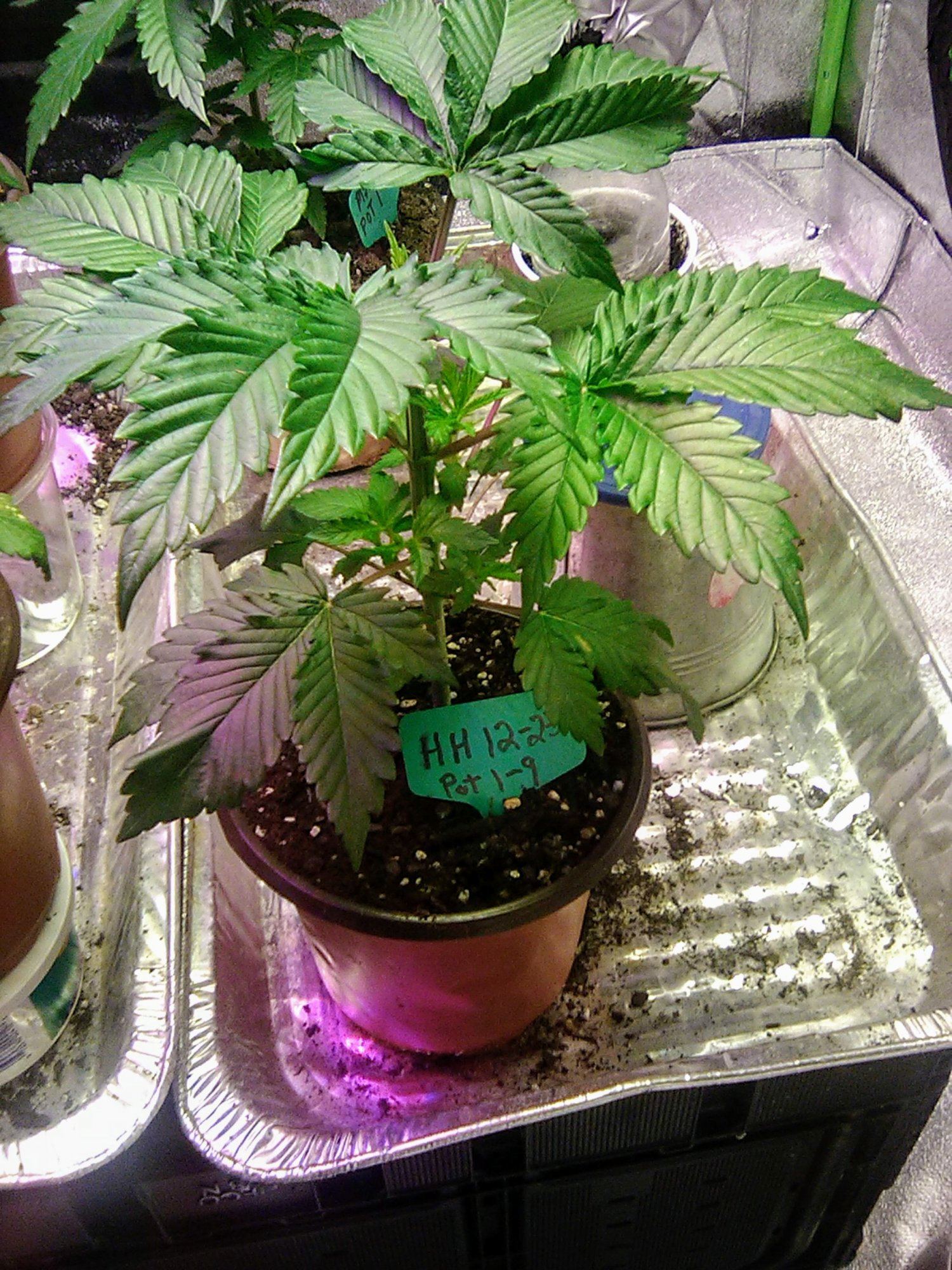 IMG 20200120 092930