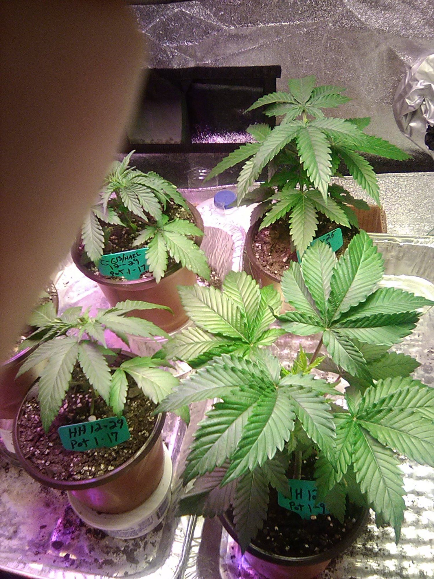 IMG 20200120 093200