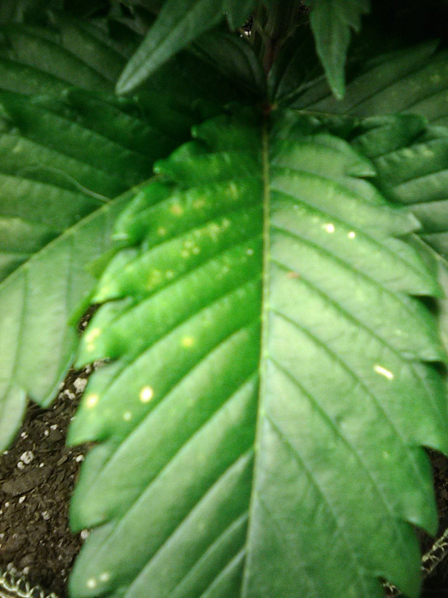 IMG 20200124 141151
