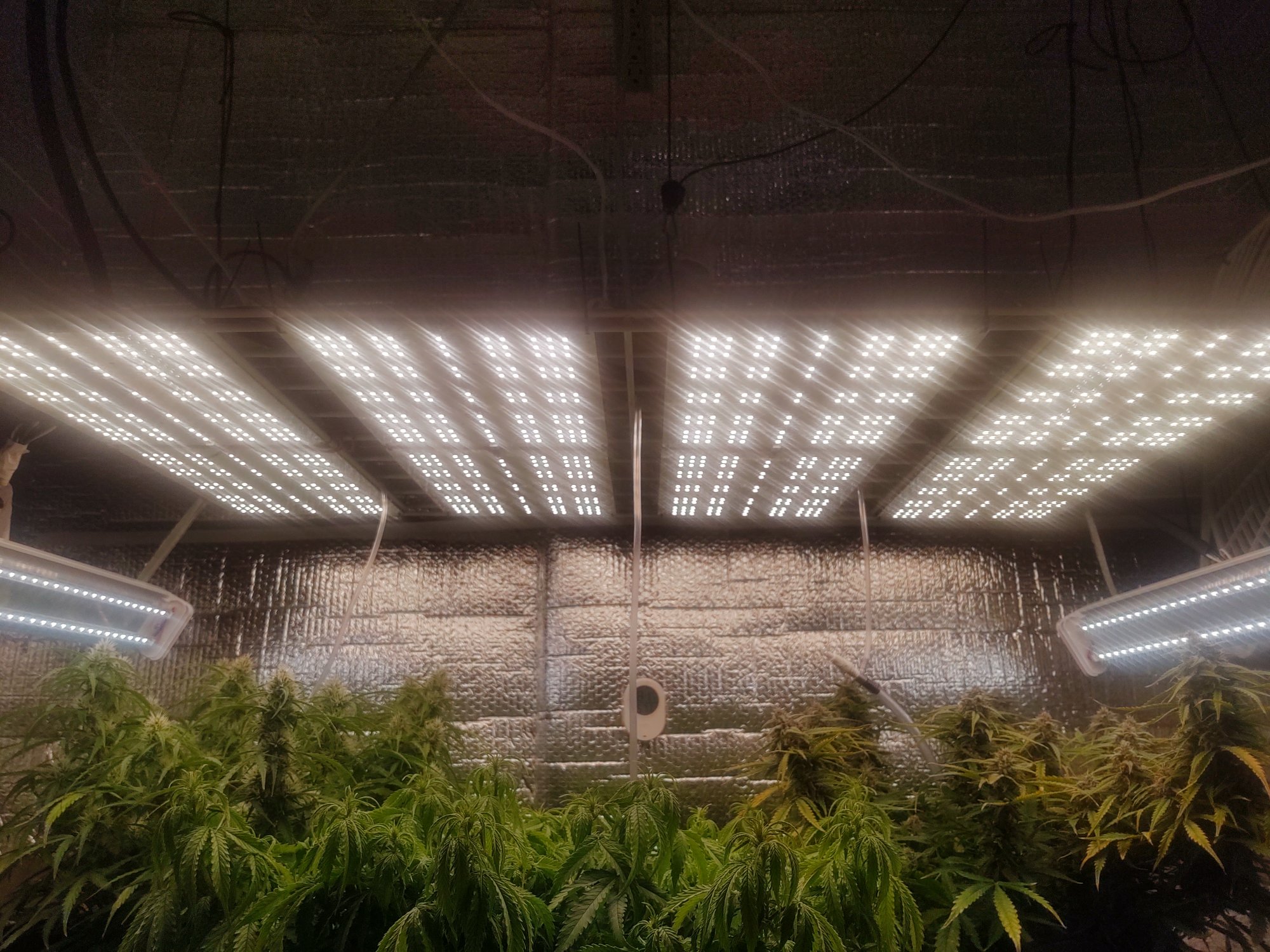 IMG 20200322 131145122 HDR