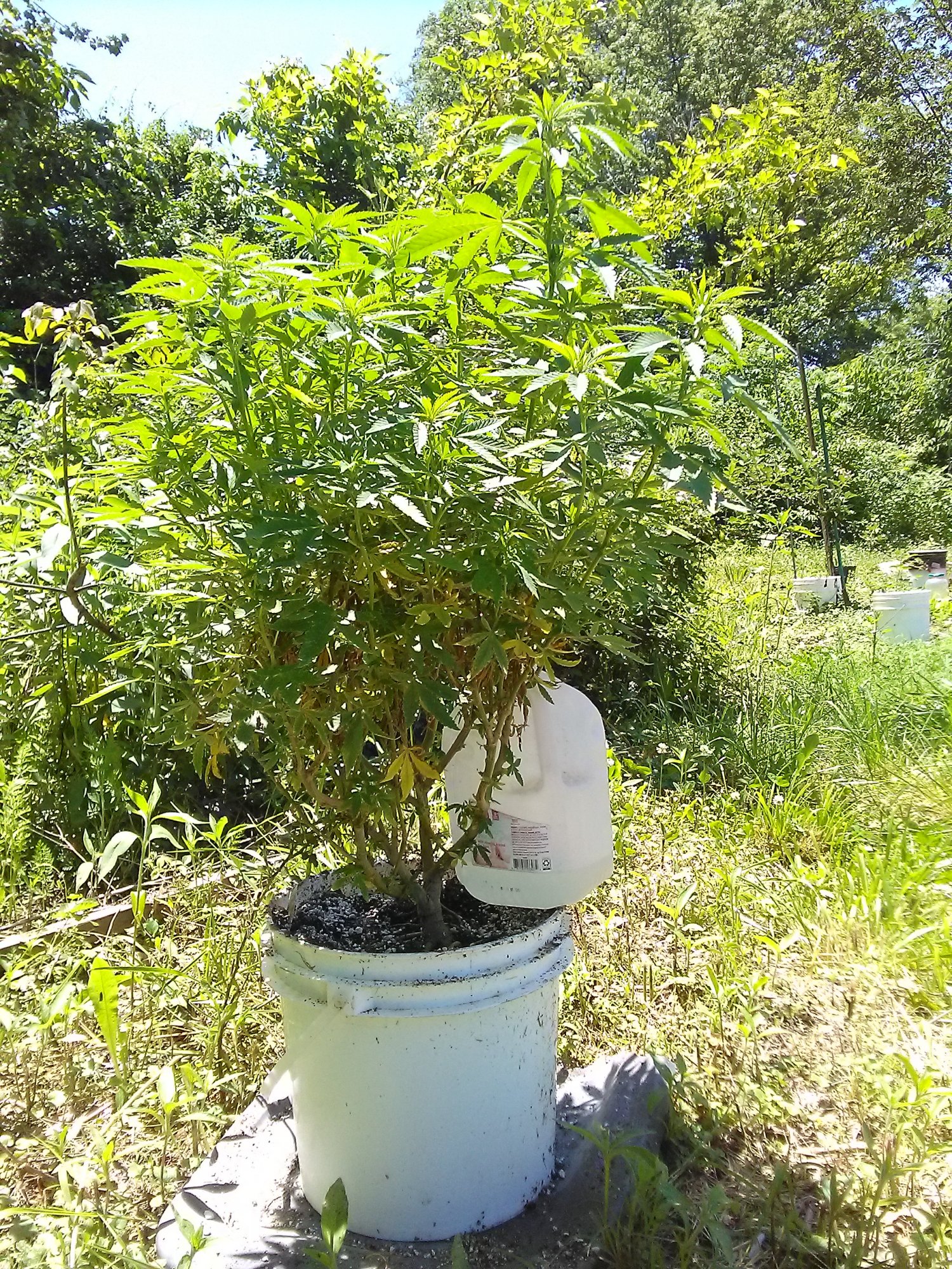 IMG 20200531 123410