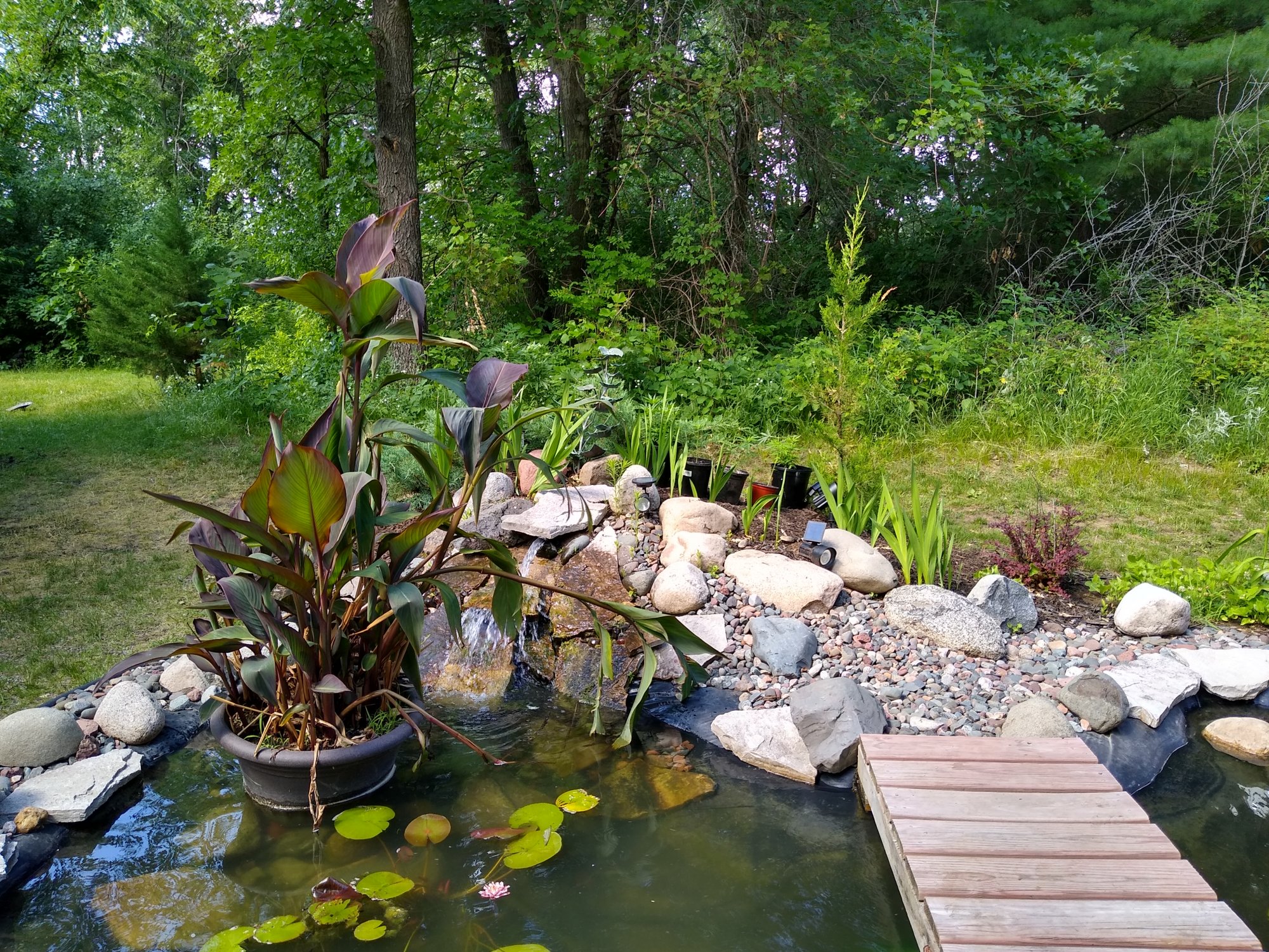 IMG 20200624 153243399 HDR