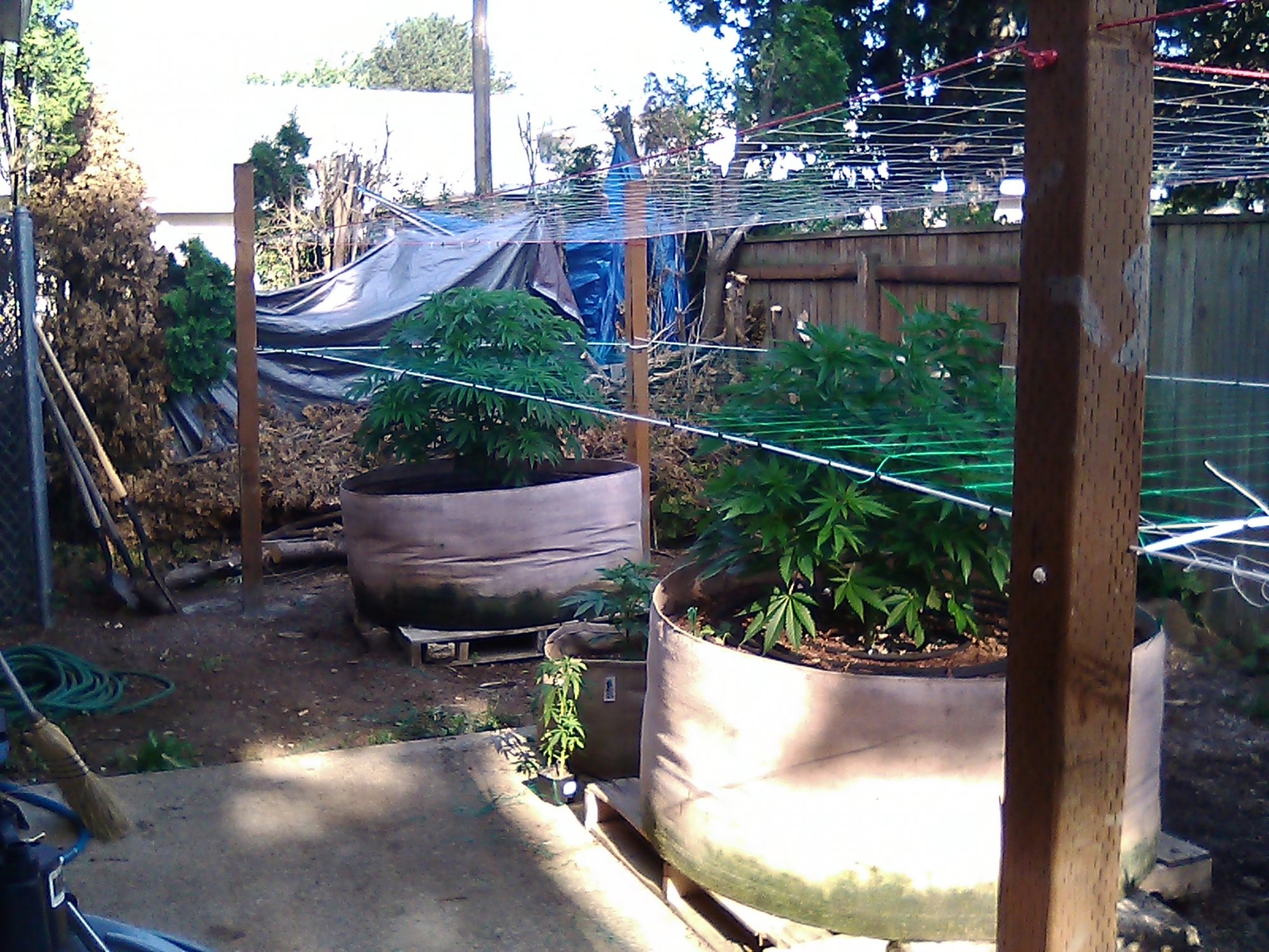 IMG 20200702 175837