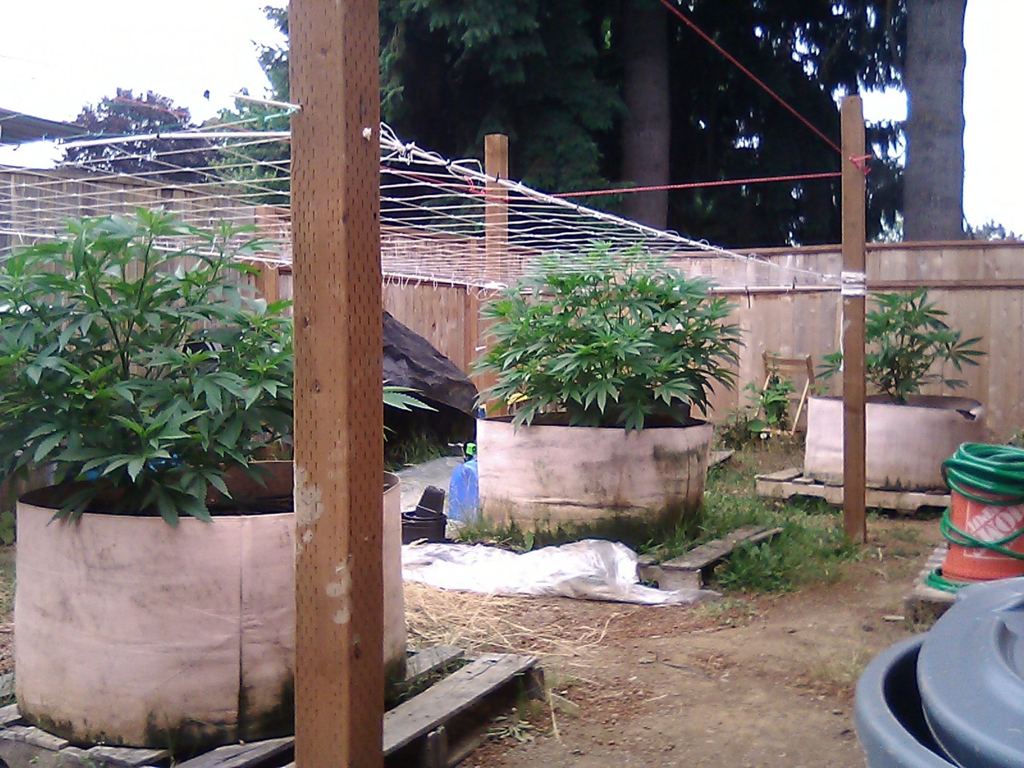 IMG 20200706 081832