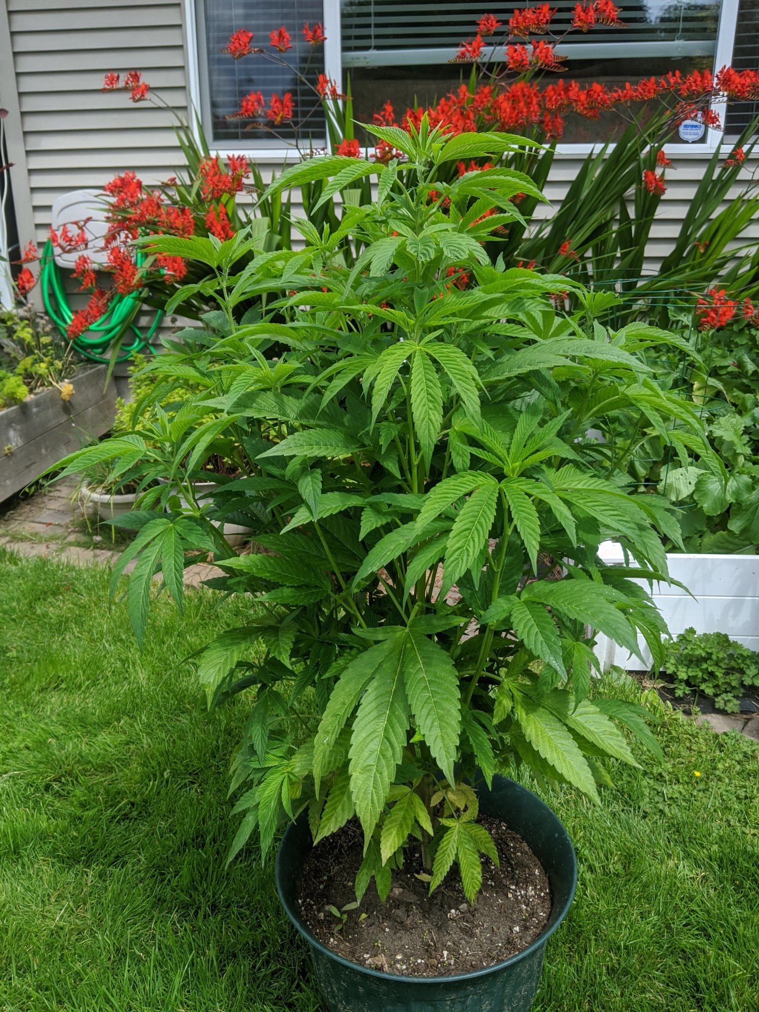 IMG 20200710 141047