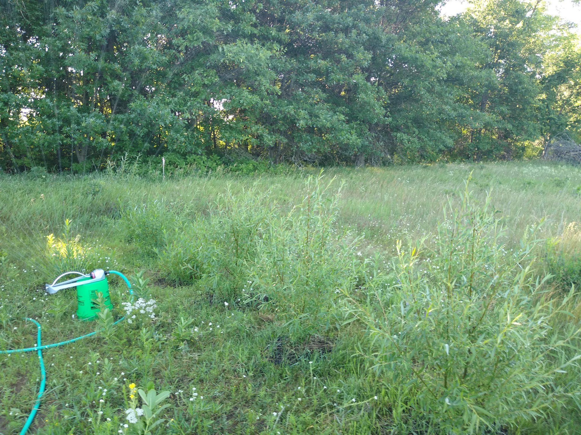 IMG 20200712 083925796