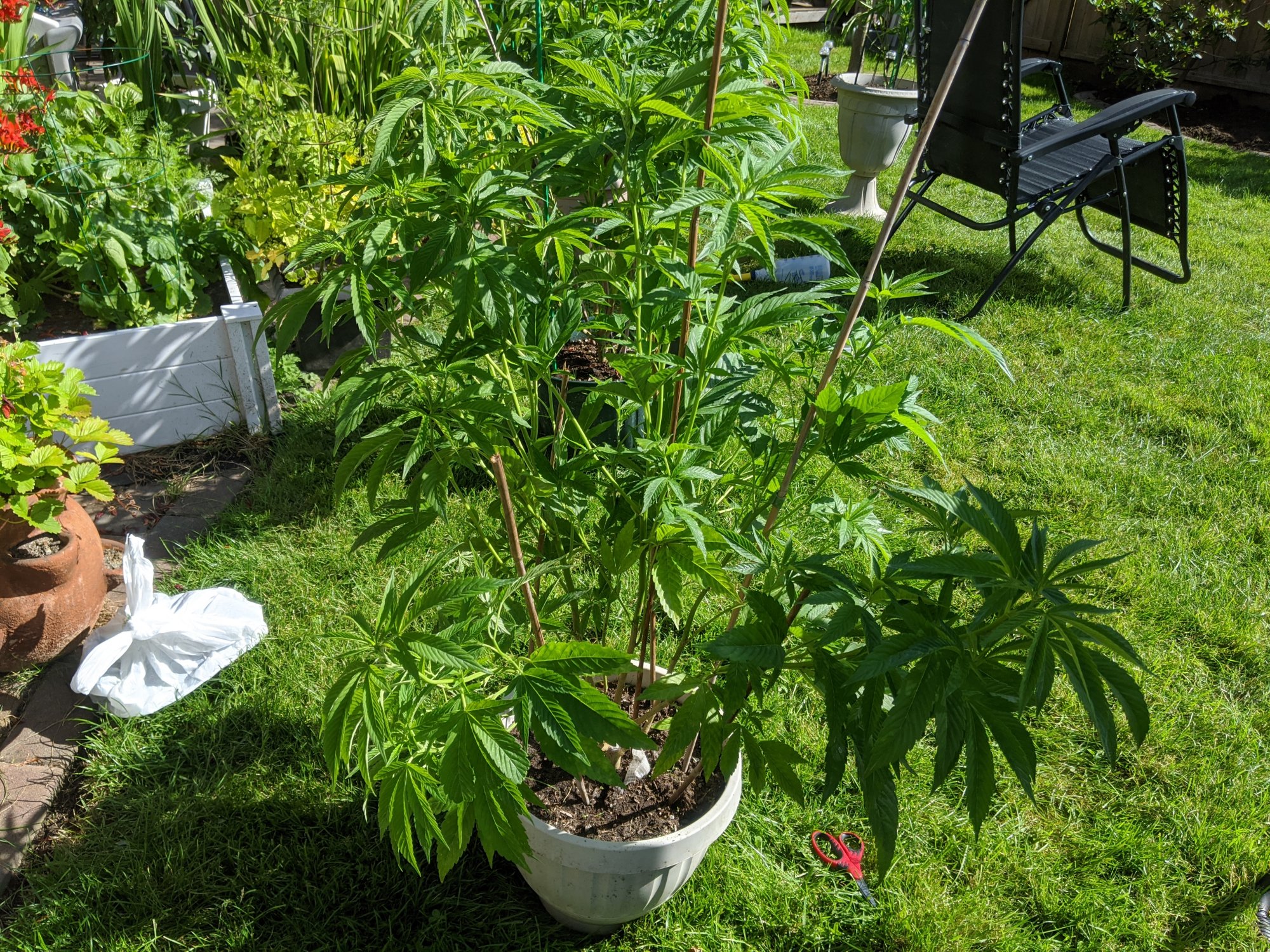 IMG 20200714 170731