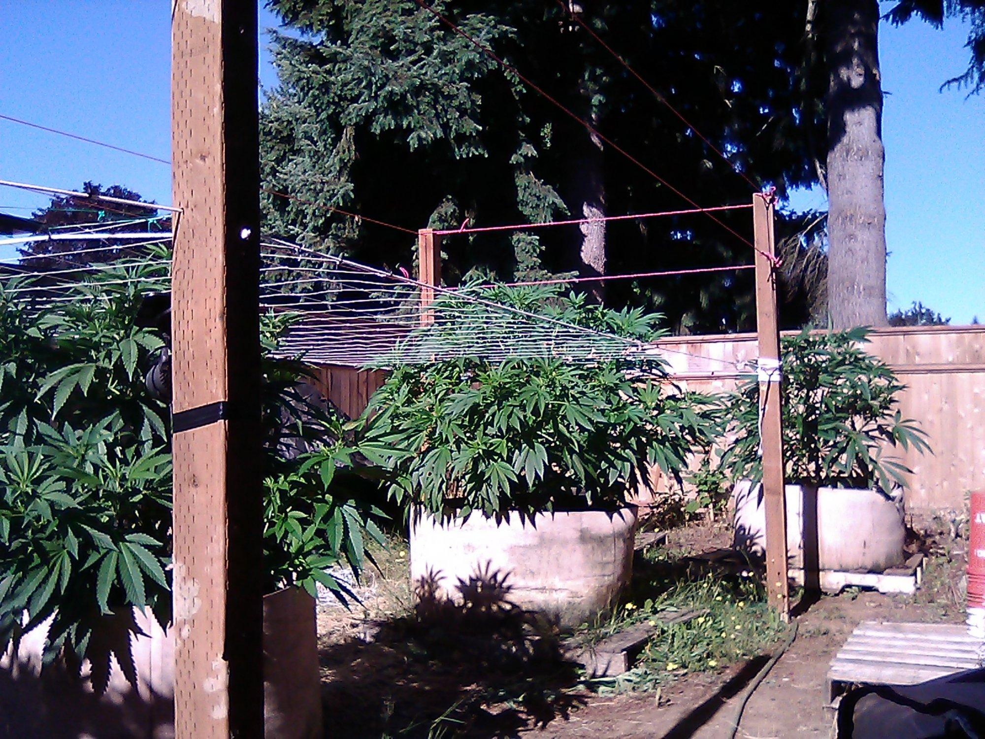 IMG 20200719 085053