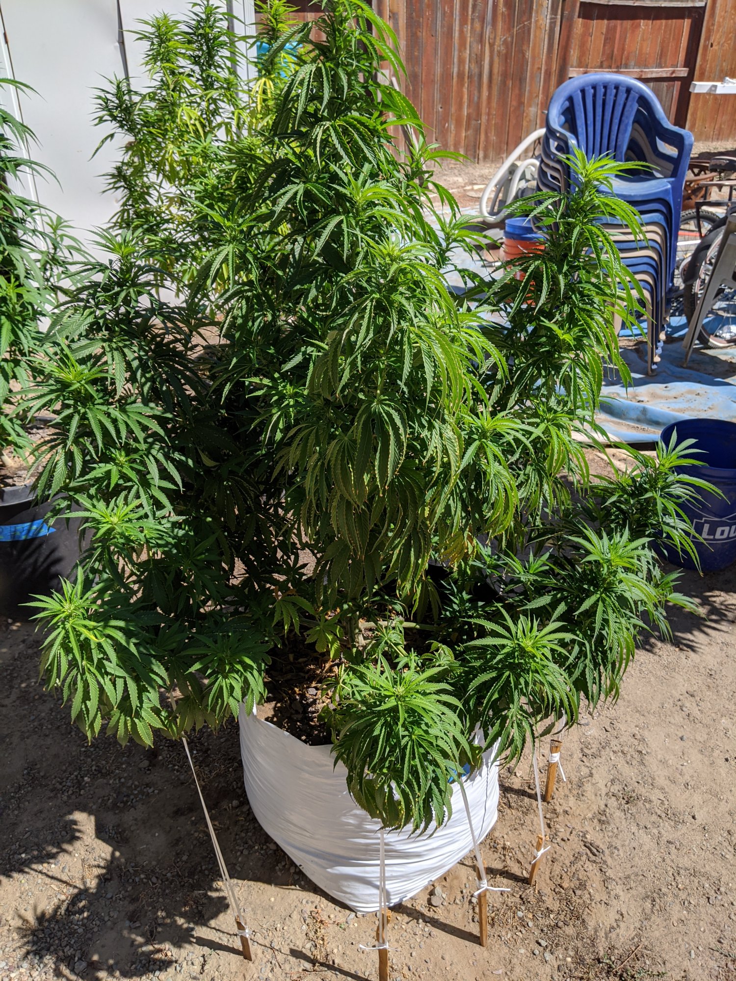 IMG 20200722 102332