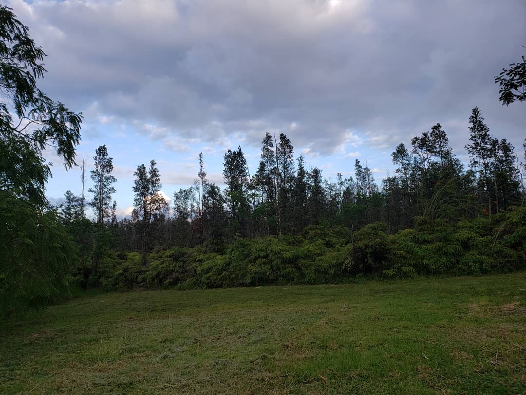 IMG 20200722 182403 955