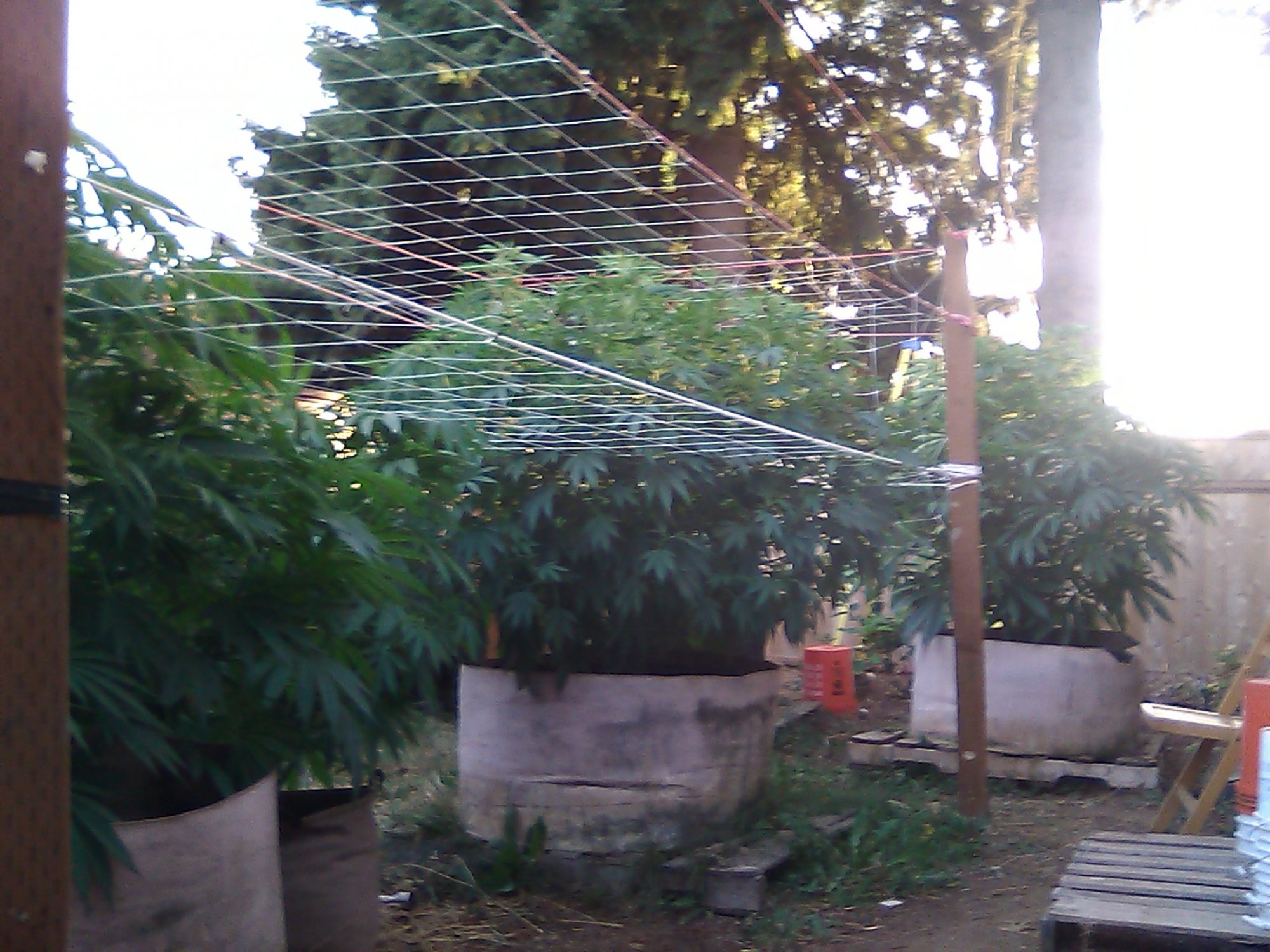 IMG 20200804 194548
