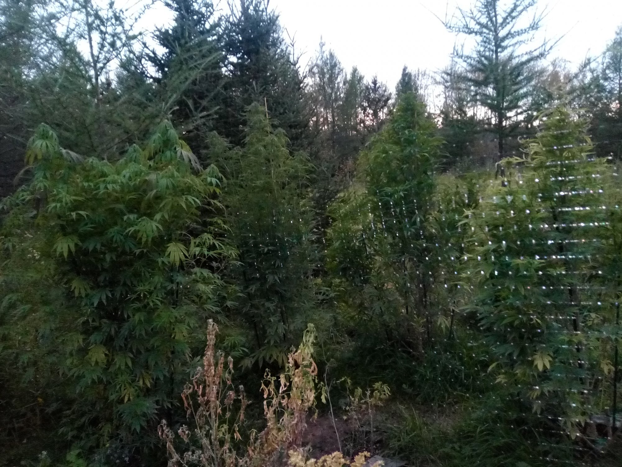 IMG 20200919 195703
