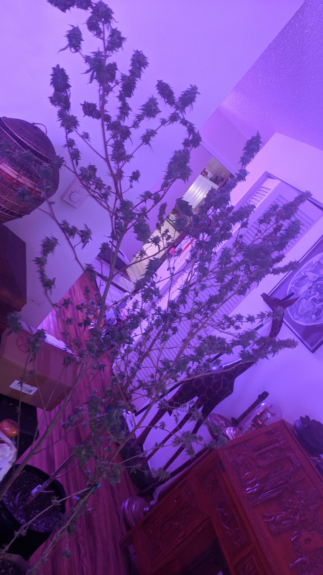 IMG 20200922 001200