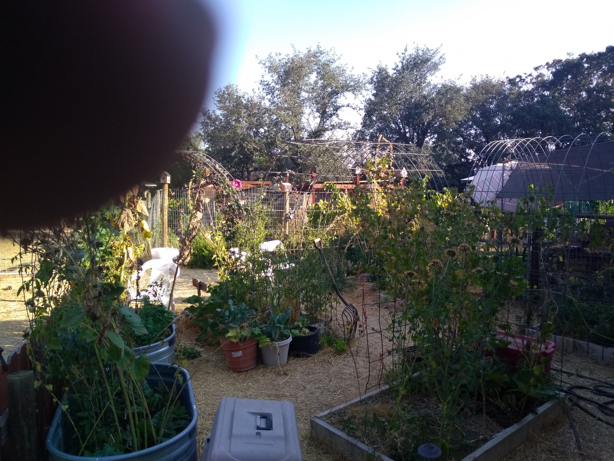 IMG 20201007 085505774