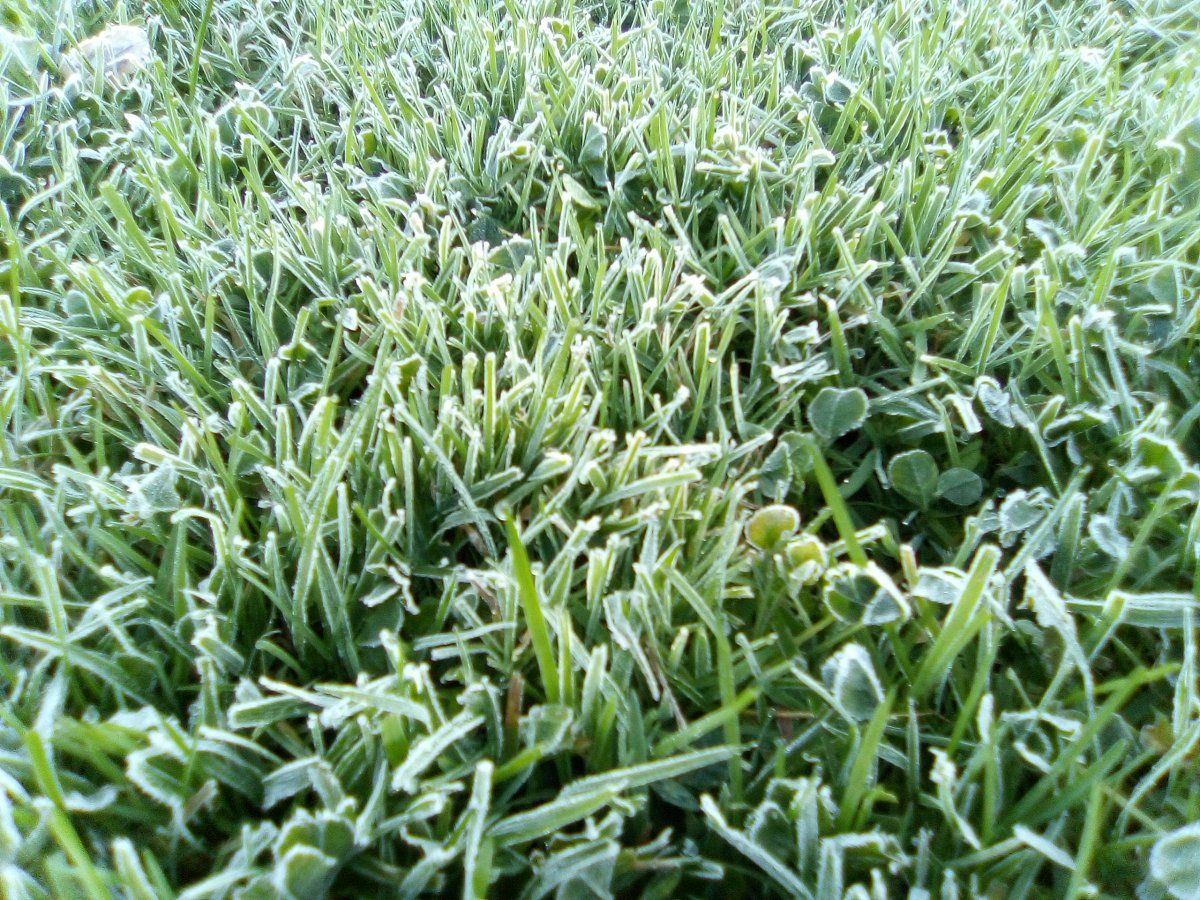 IMG 20201009 074642