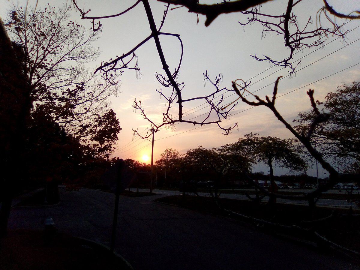 IMG 20201010 073838