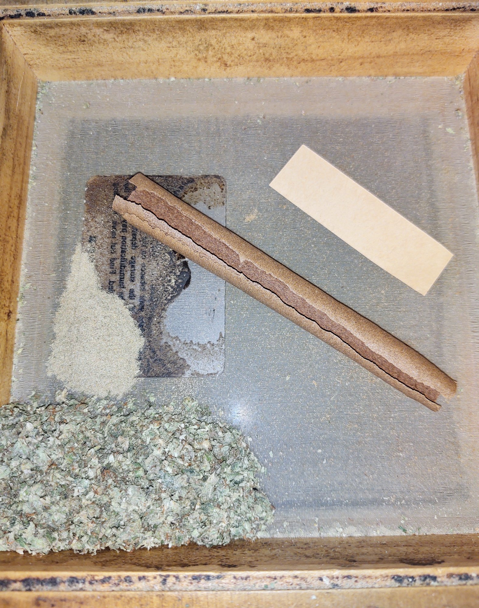IMG 20201102 1447540142