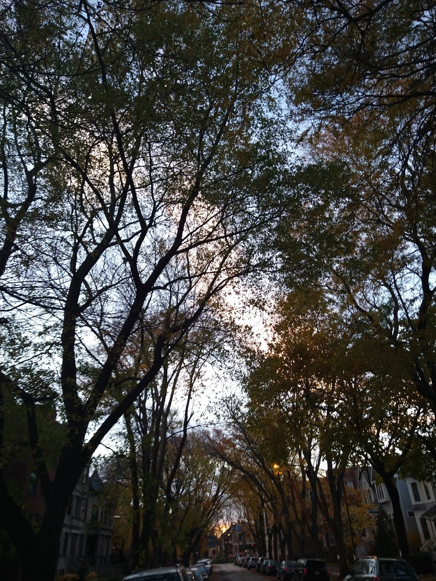 IMG 20201104 163805941