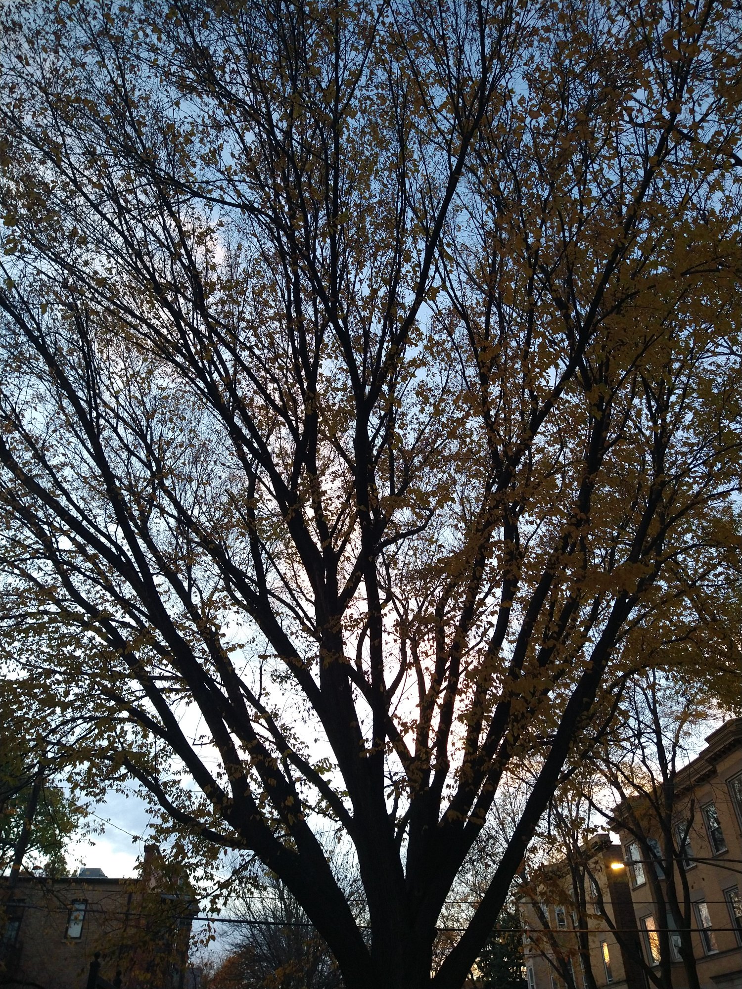 IMG 20201104 163859320