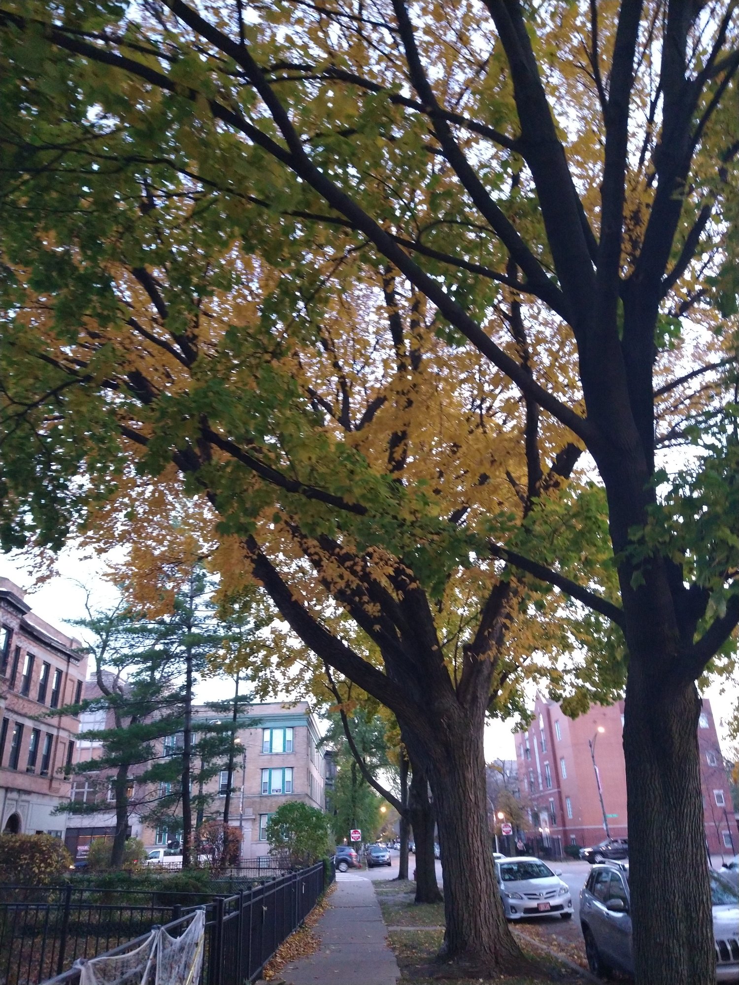 IMG 20201104 164321085
