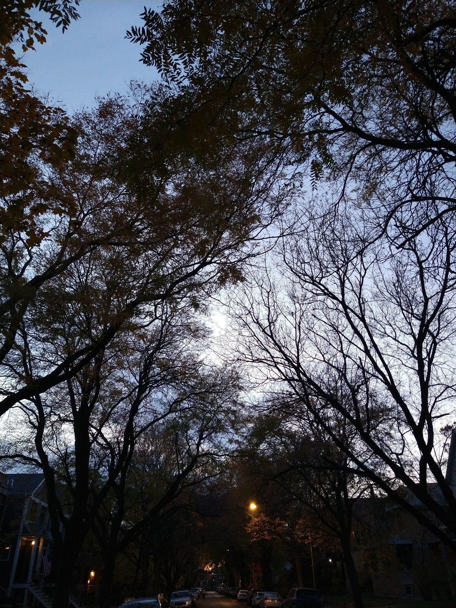 IMG 20201104 165219912