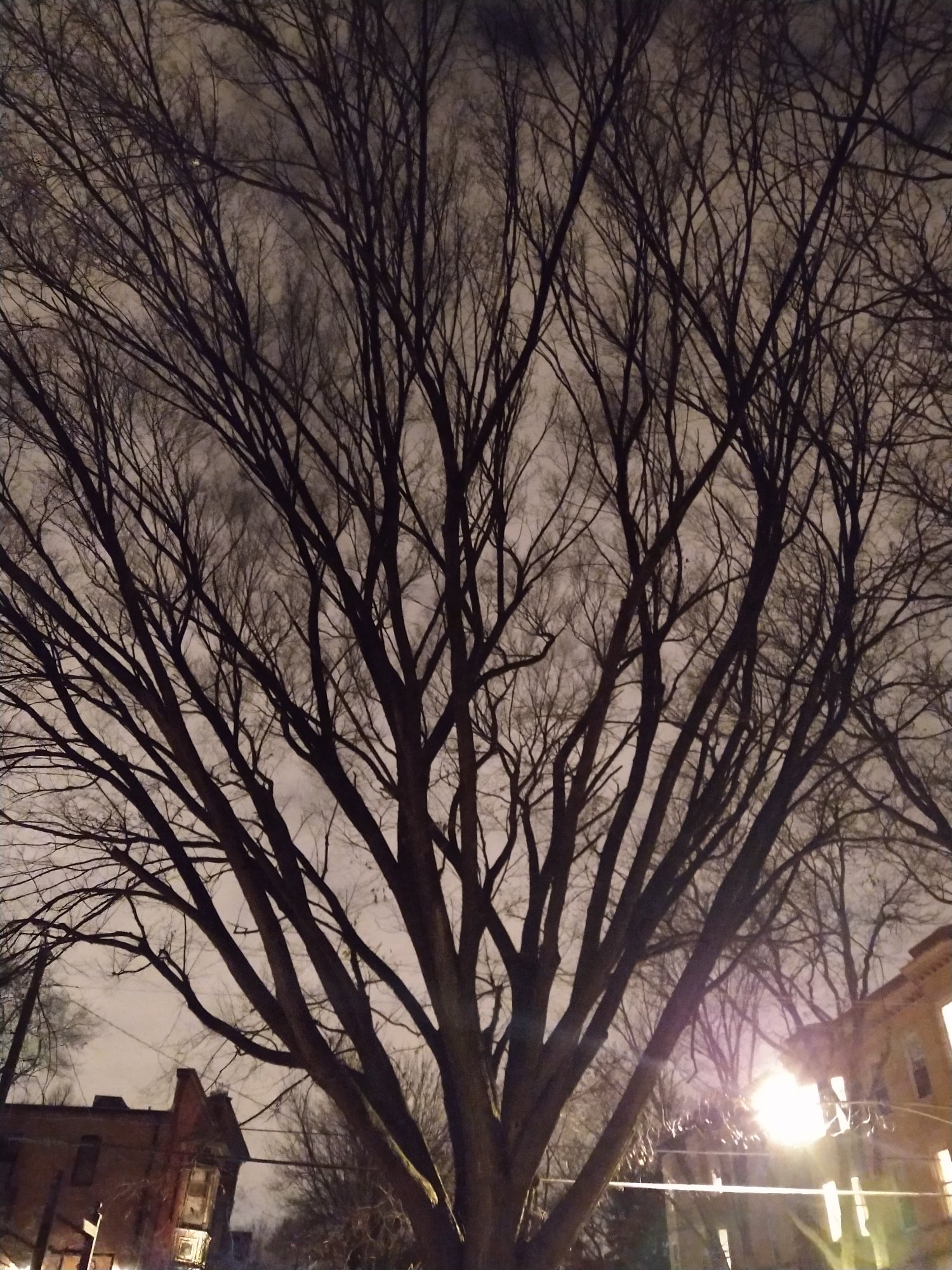 IMG 20201116 210733597
