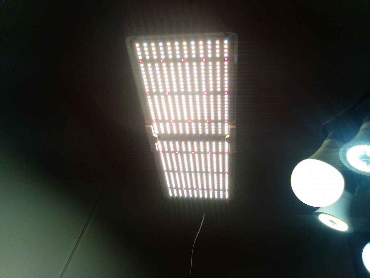 IMG 20201118 094241