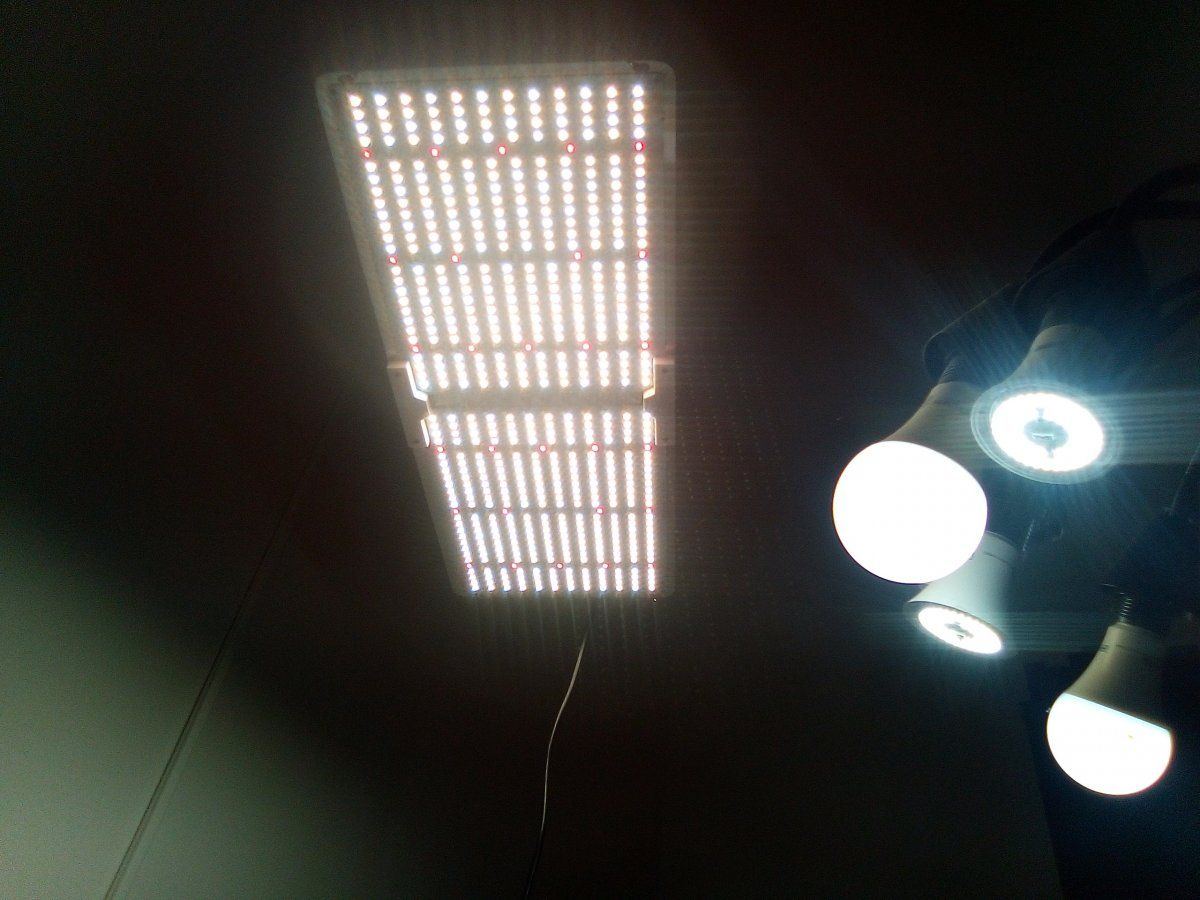 IMG 20201118 094245