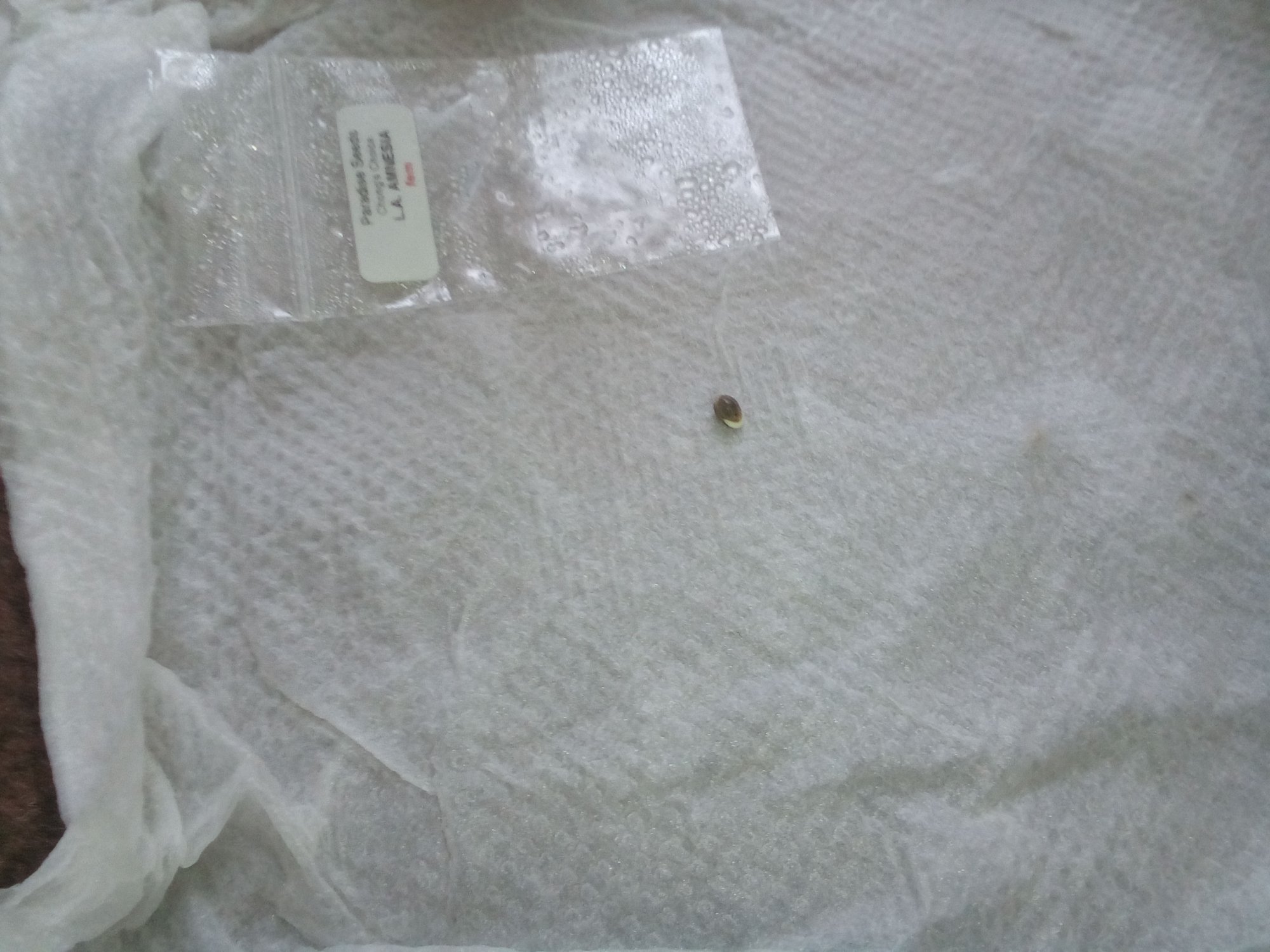 IMG 20201123 122123