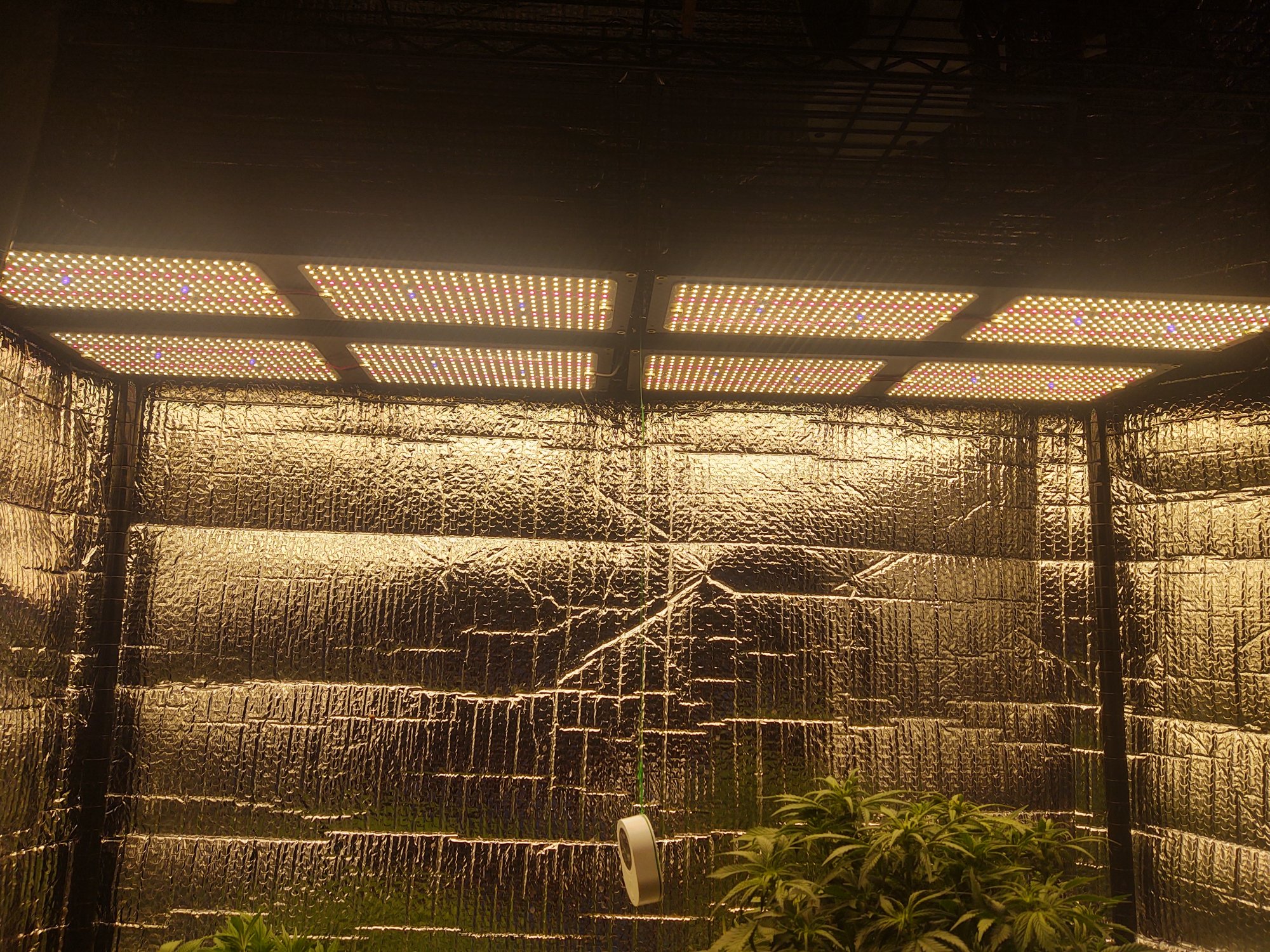 IMG 20201130 122958668 HDR