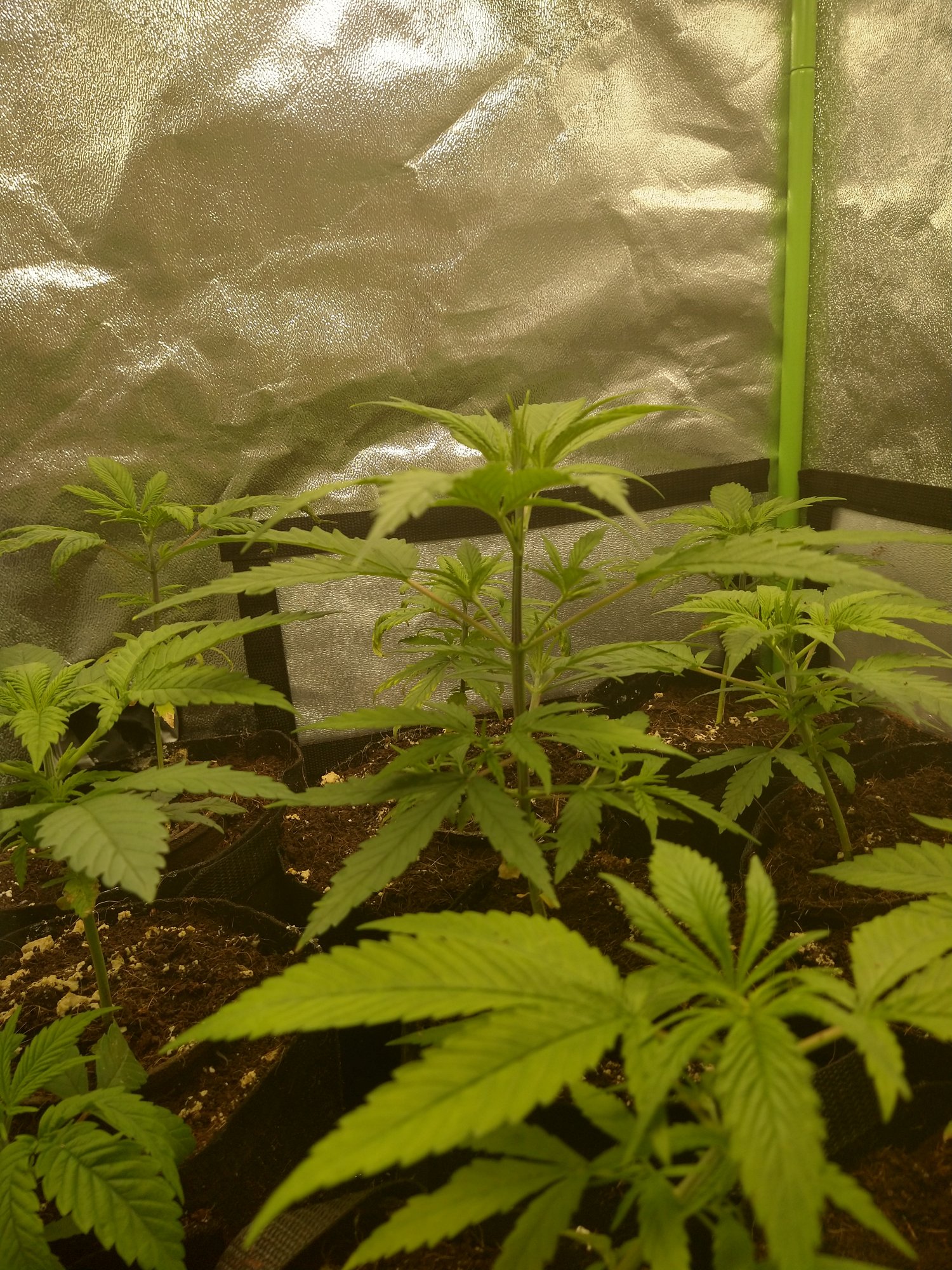 IMG 20201203 214645266 HDR