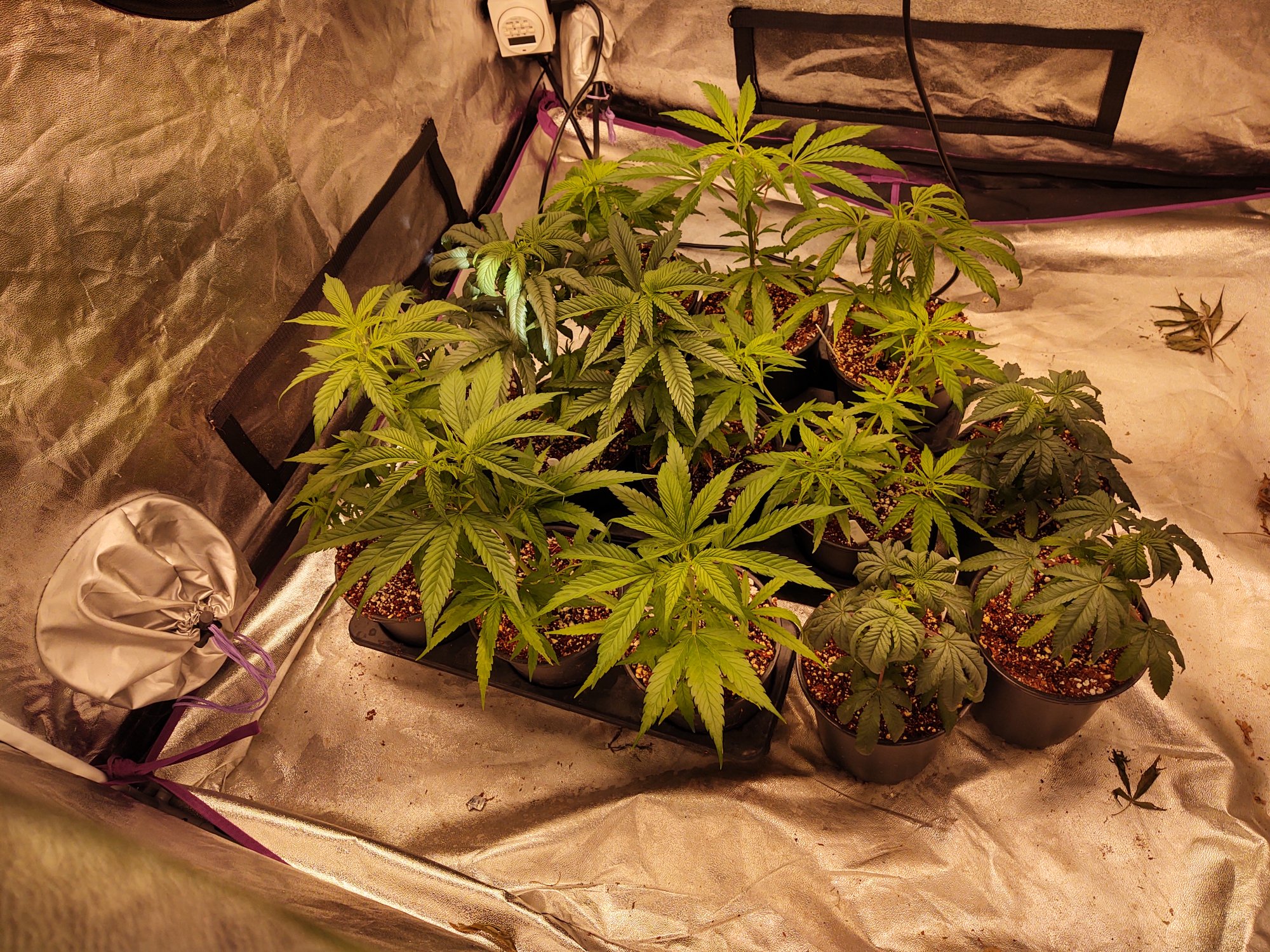 IMG 20201207 125232827 HDR