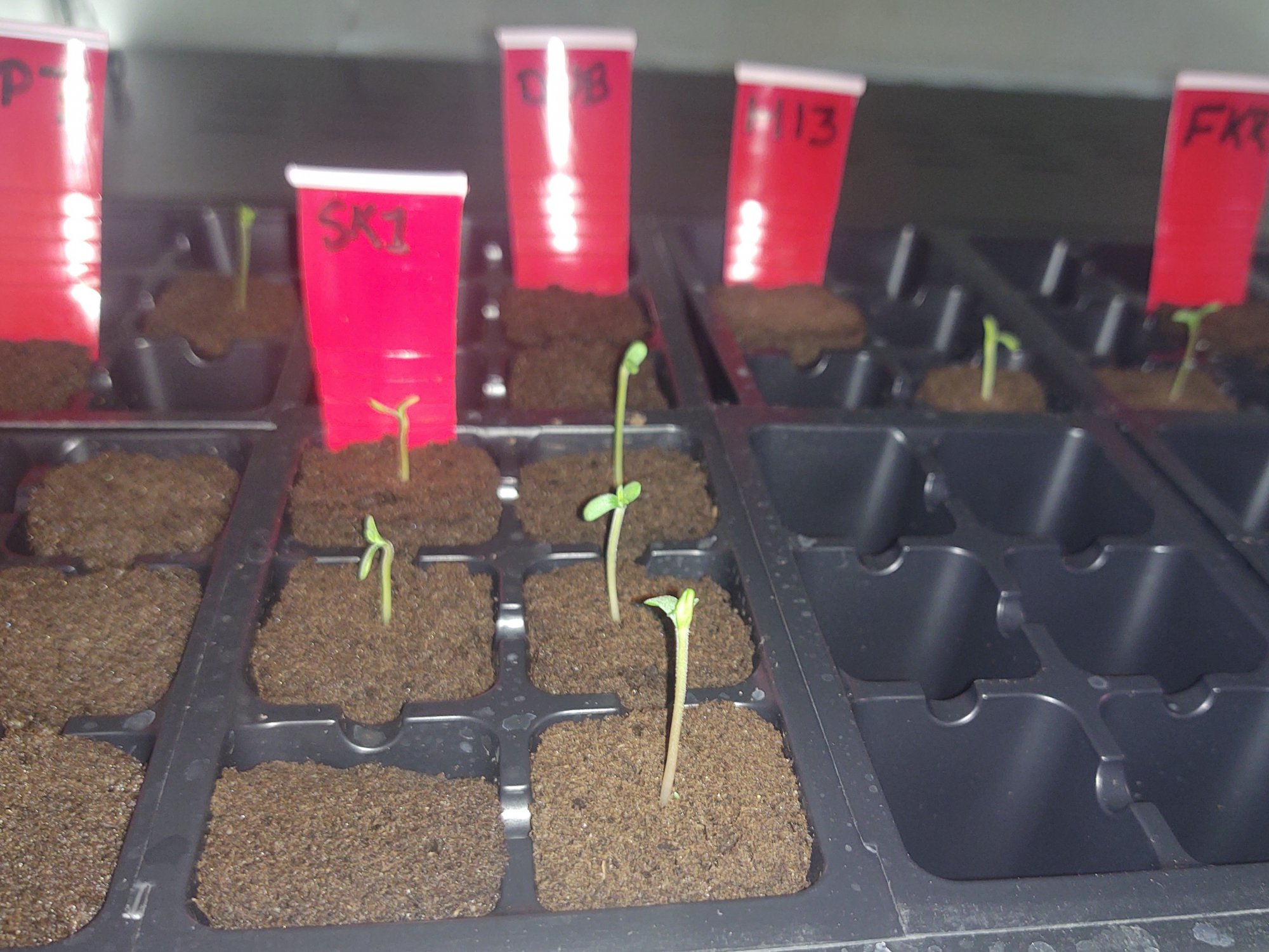IMG 20201209 0806181652