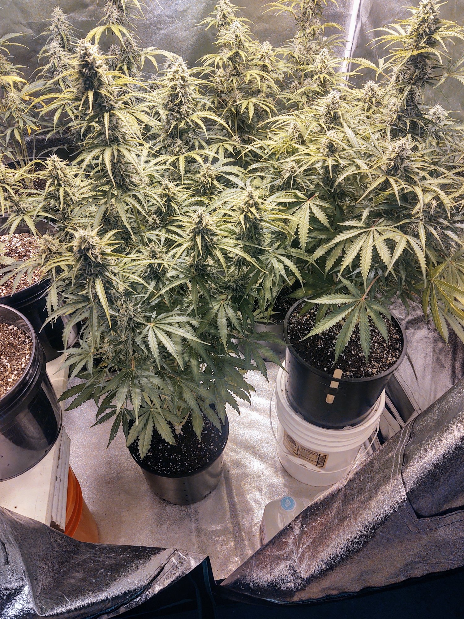IMG 20201216 112141938 HDR