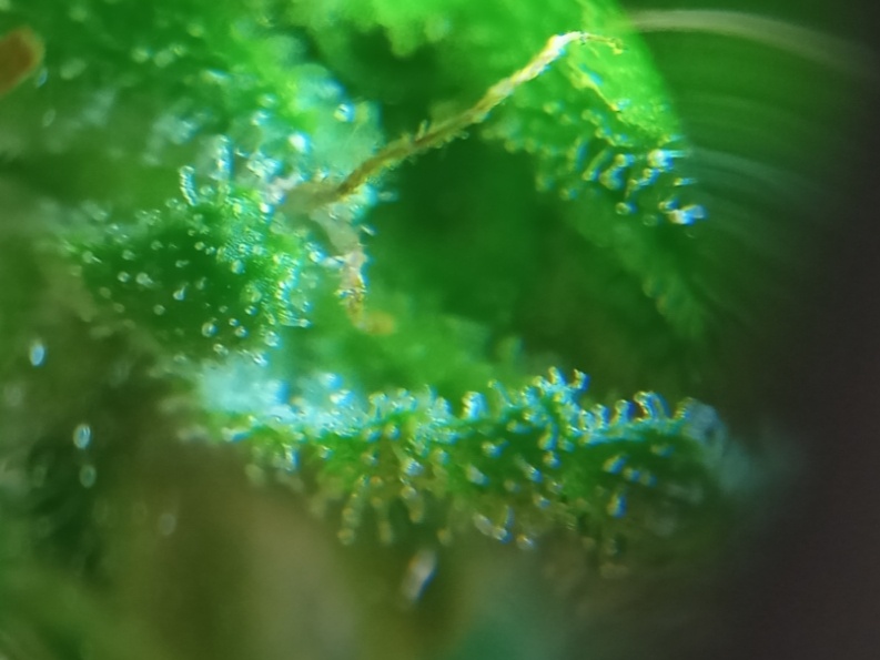 IMG 20210315 161748