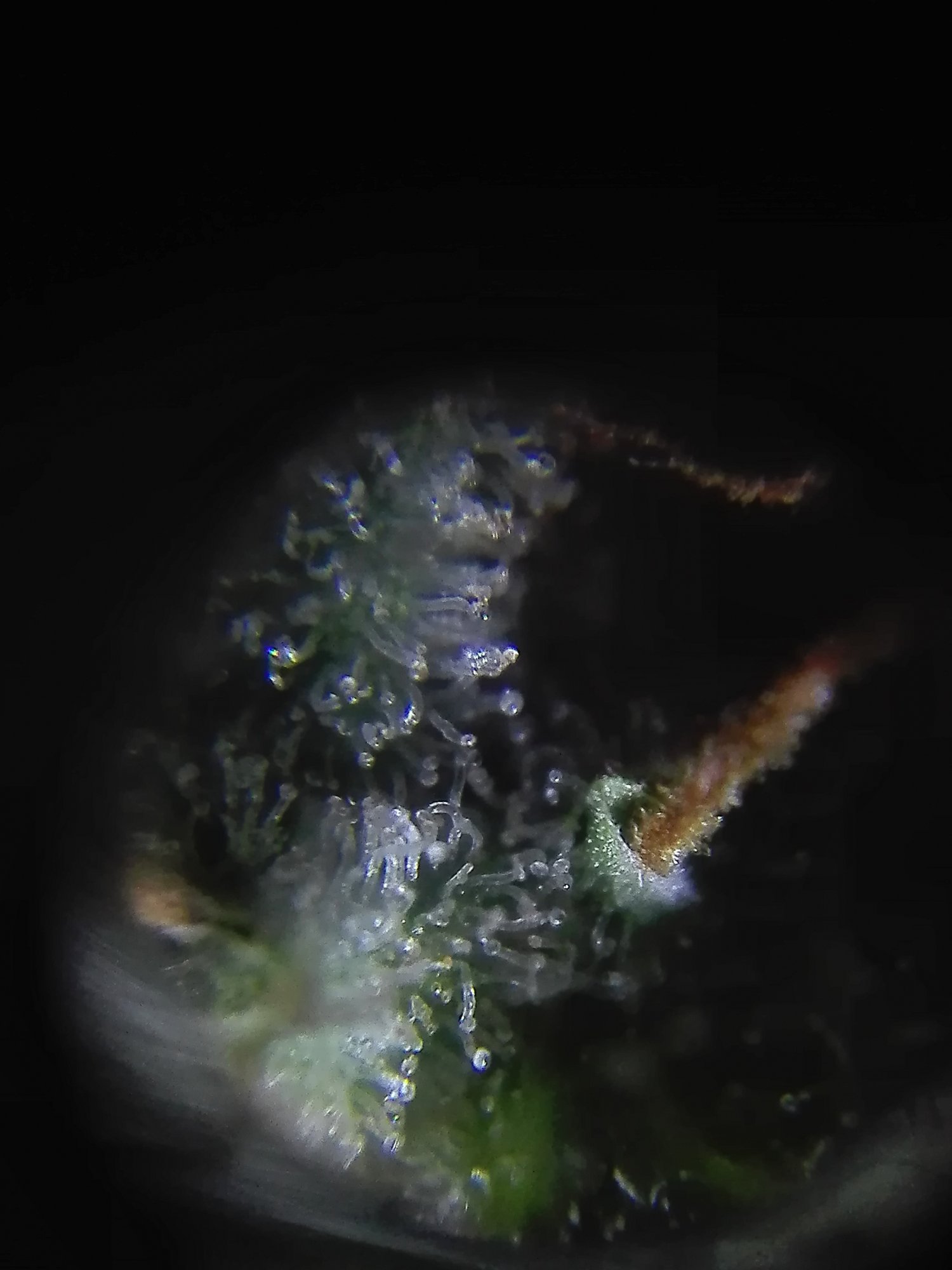 IMG 20210503 033023