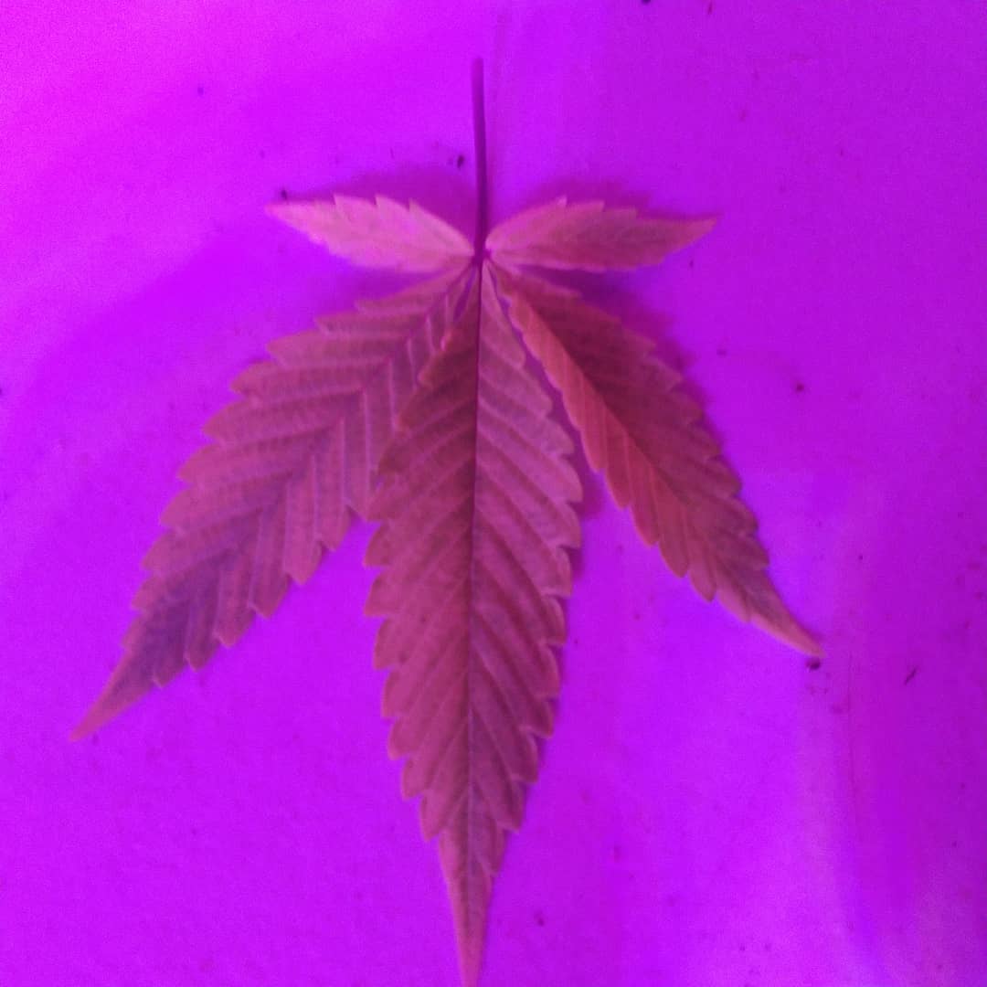IMG 20210508 181909 654