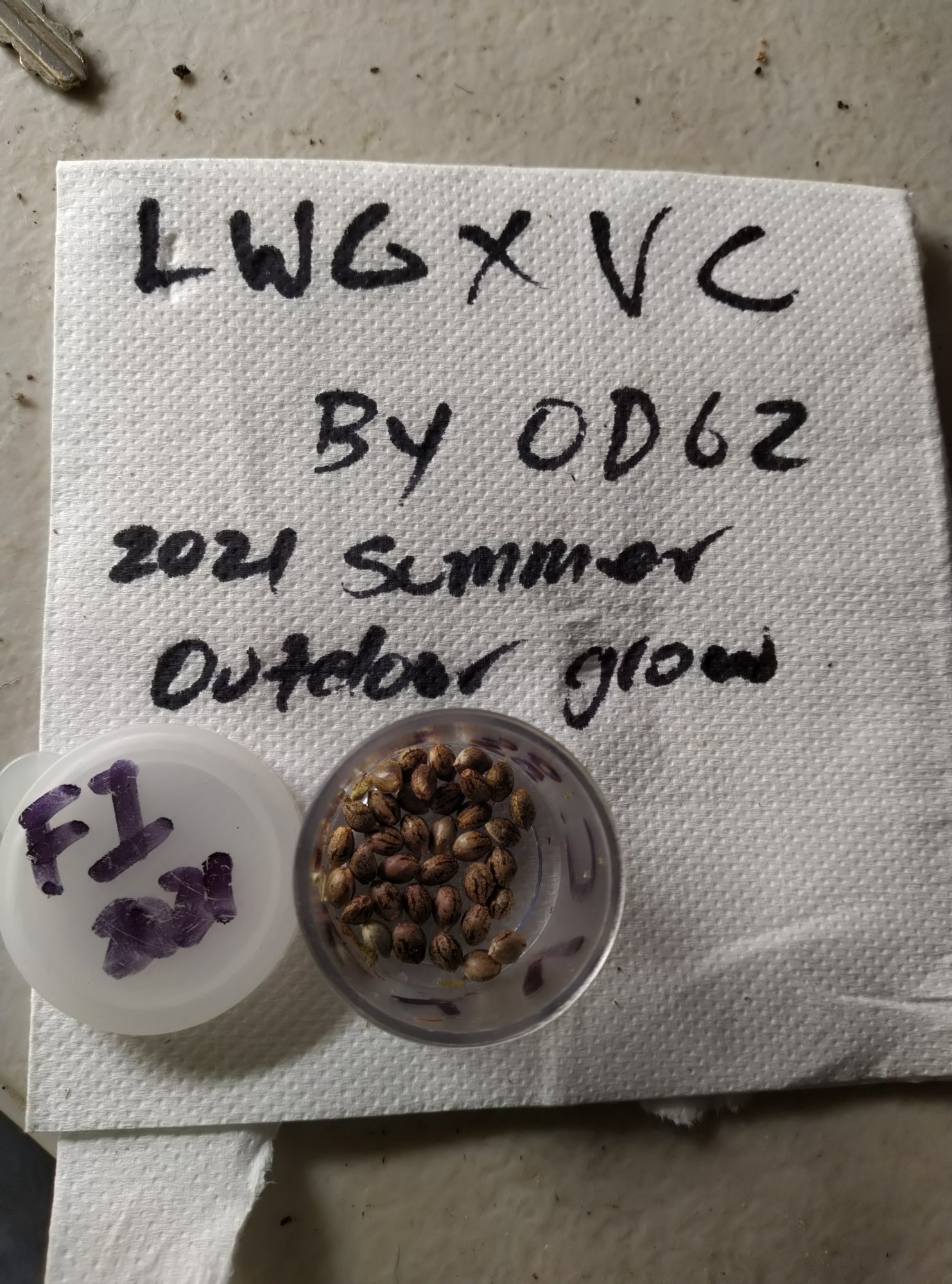 IMG 20210515 043224