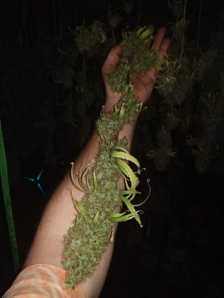 IMG 20211006 230441