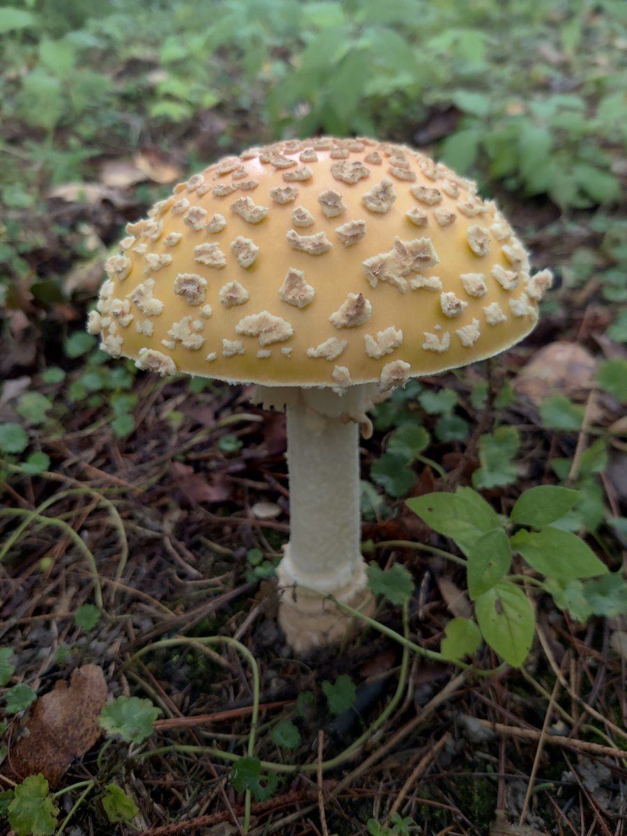 IMG 20211007 094535