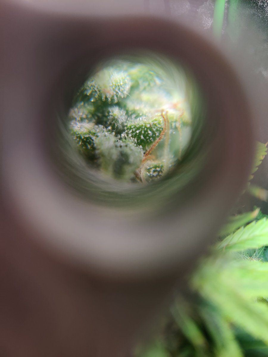 IMG 20211009 132249